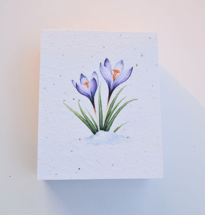 Handmade Plantable Notepads - Snow Flower
