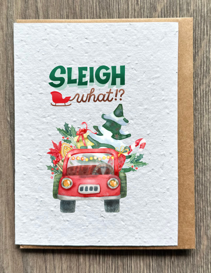 Sleigh What