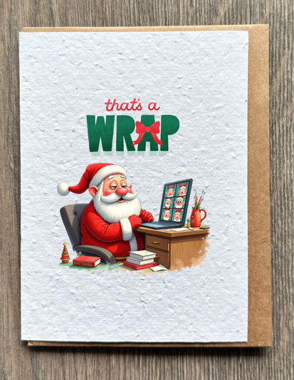 Santa in Meeting