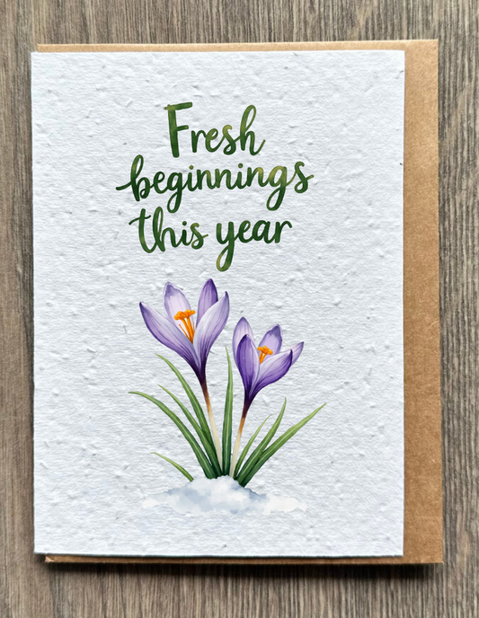 Fresh Beginnings